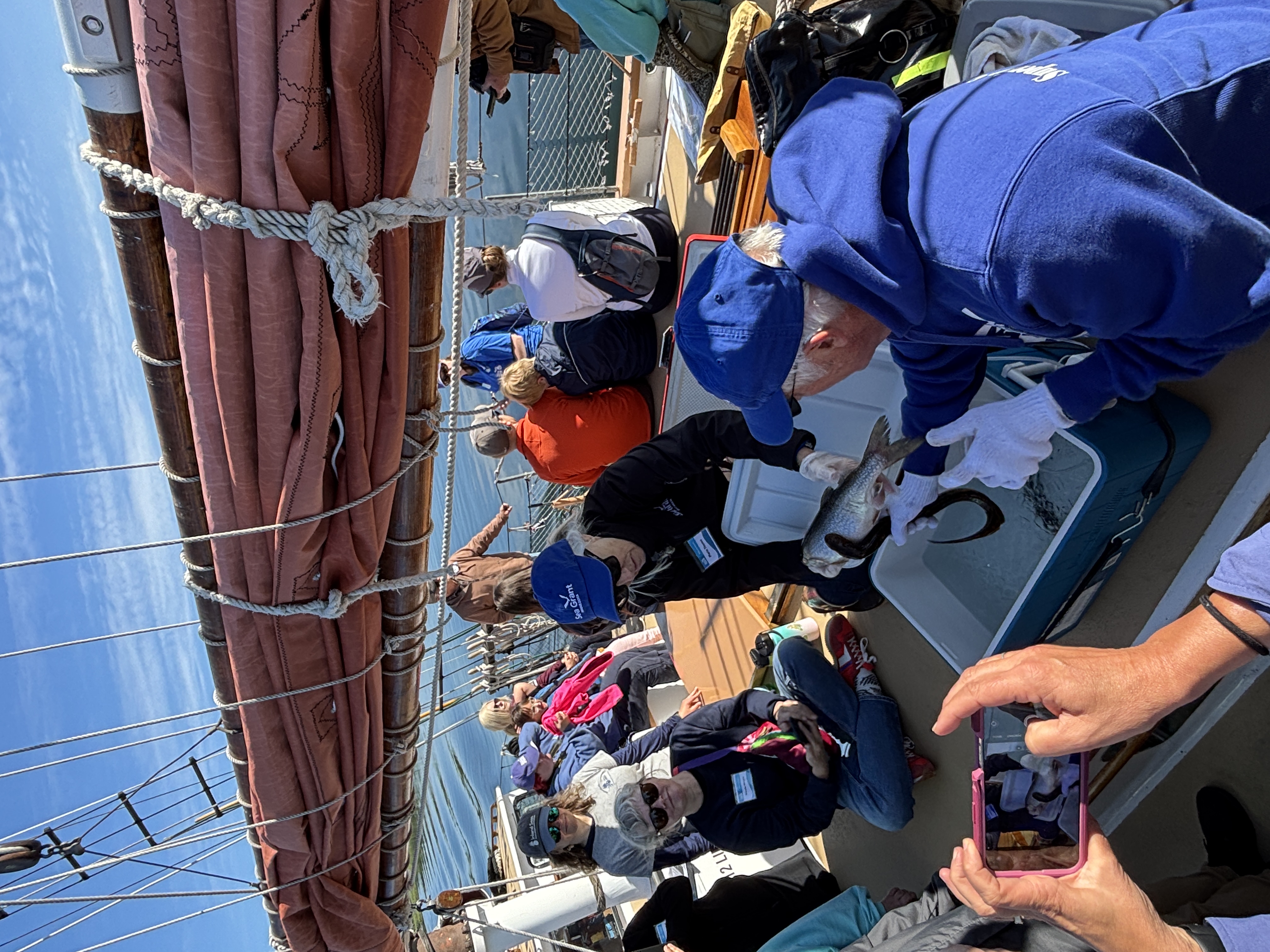 People on a sailboat gather around a cooler on deck that has it's lid open. Two people are lifting a fish which has a lamprey attached to its side and are teaching about lamprey.